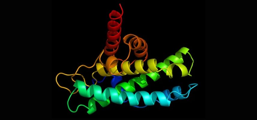 An ActRIIA Fusion Protein Got FDA Approved for PAH Treatment
